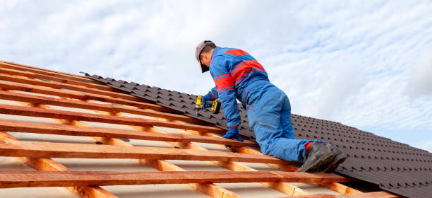 Best Solar Panel Roofing Installation  in Rosebud, TX